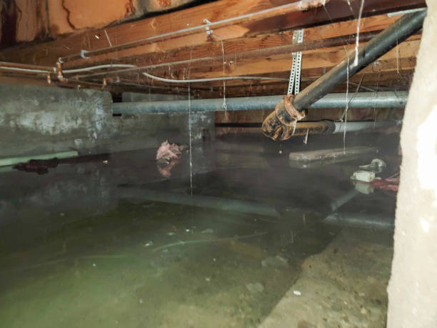 Best Professional water damage repair  in Millersburg, PA