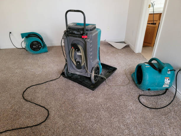 Best Ceiling water damage repair  in Millersburg, PA