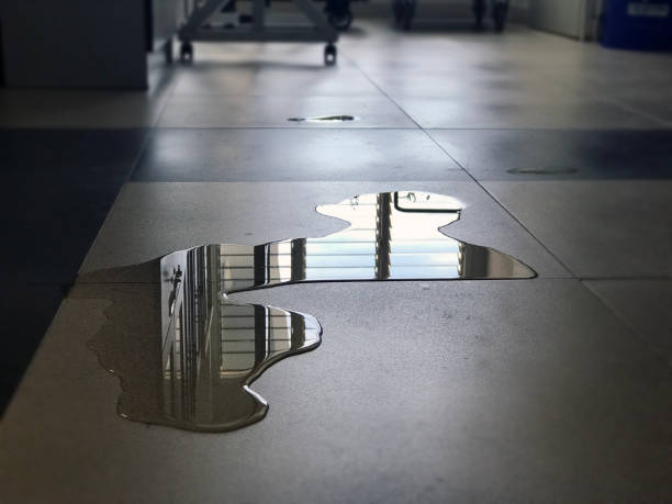 Best Commercial water damage restoration  in Millersburg, PA