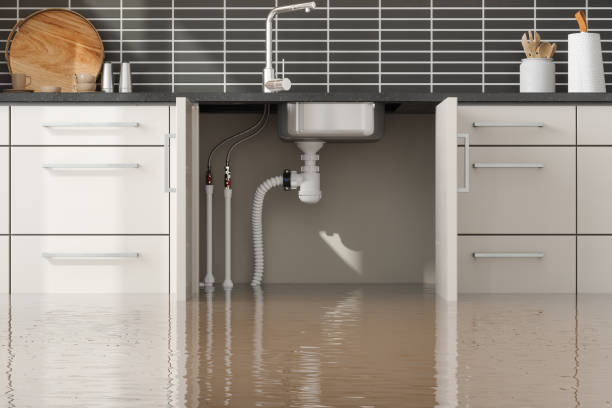 Best Water damage repair service  in Millersburg, PA