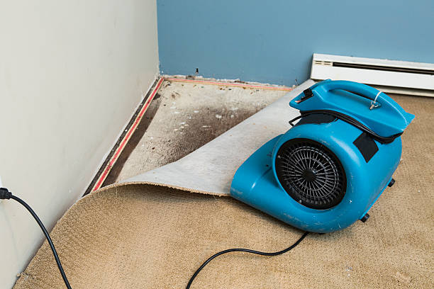 Best Mold removal after water damage  in Millersburg, PA